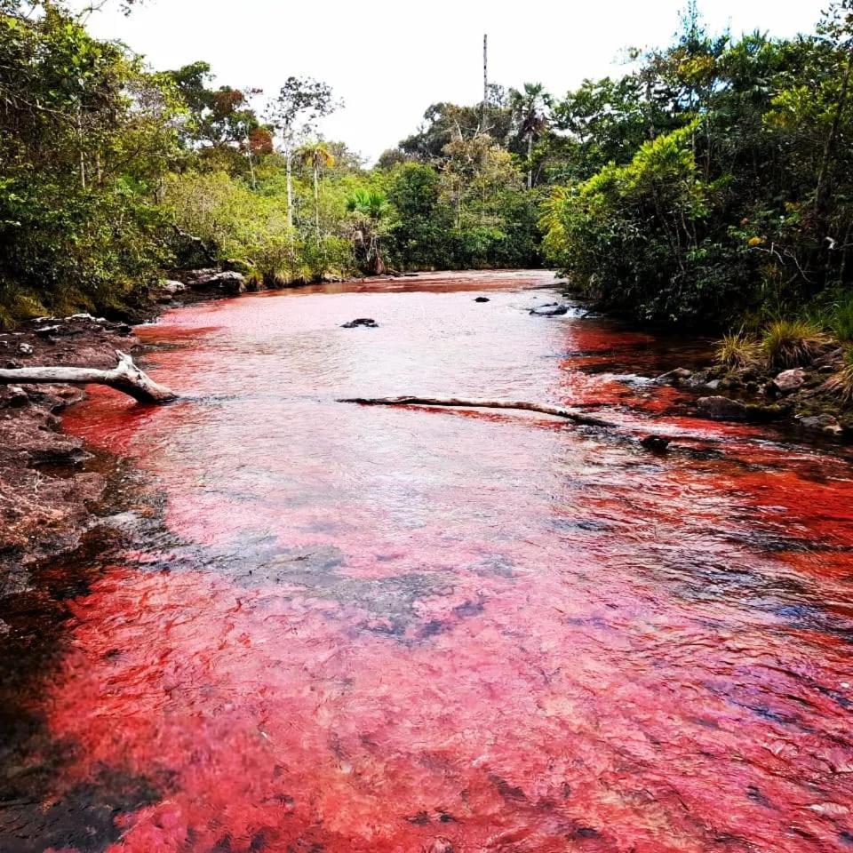 Hotel Ecologico Makalombia La Macarena 外观 照片