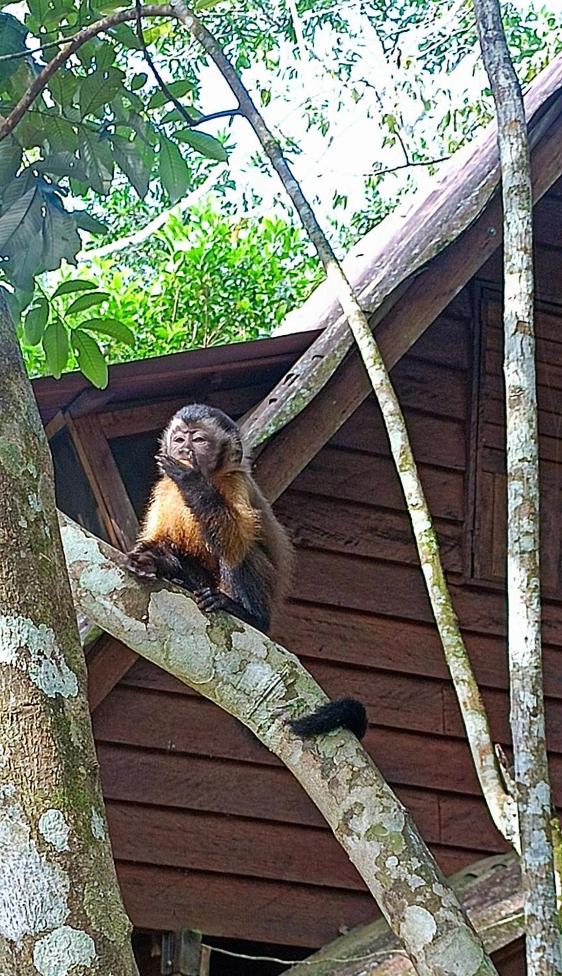 Hotel Ecologico Makalombia La Macarena 外观 照片