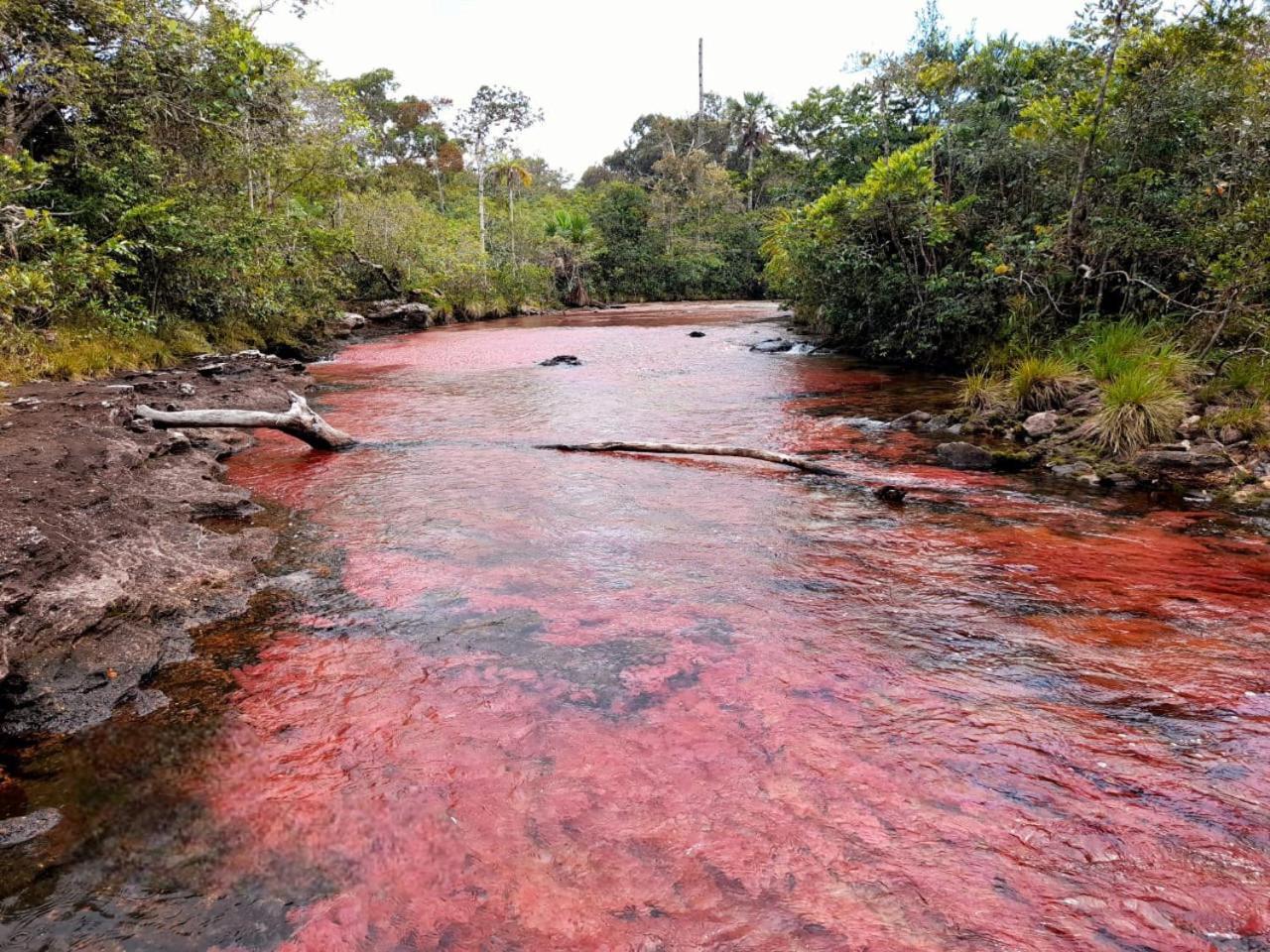 Hotel Ecologico Makalombia La Macarena 外观 照片