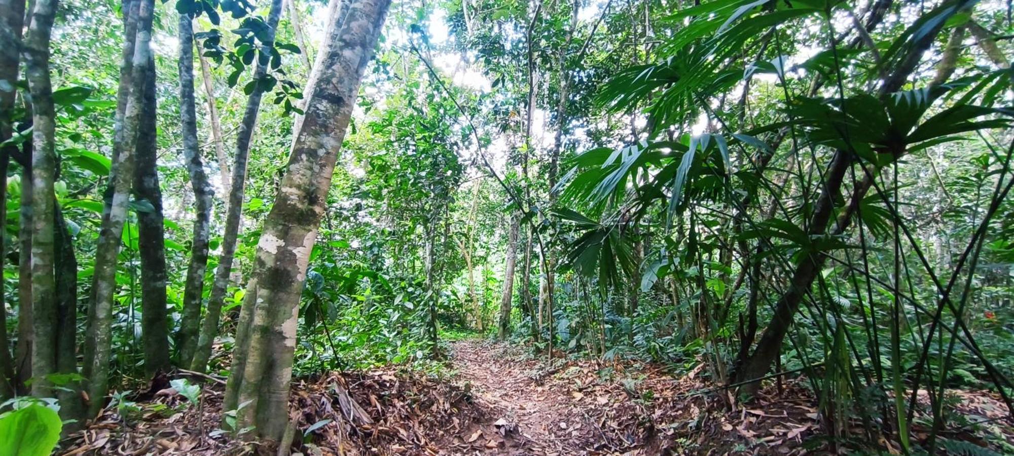 Hotel Ecologico Makalombia La Macarena 外观 照片