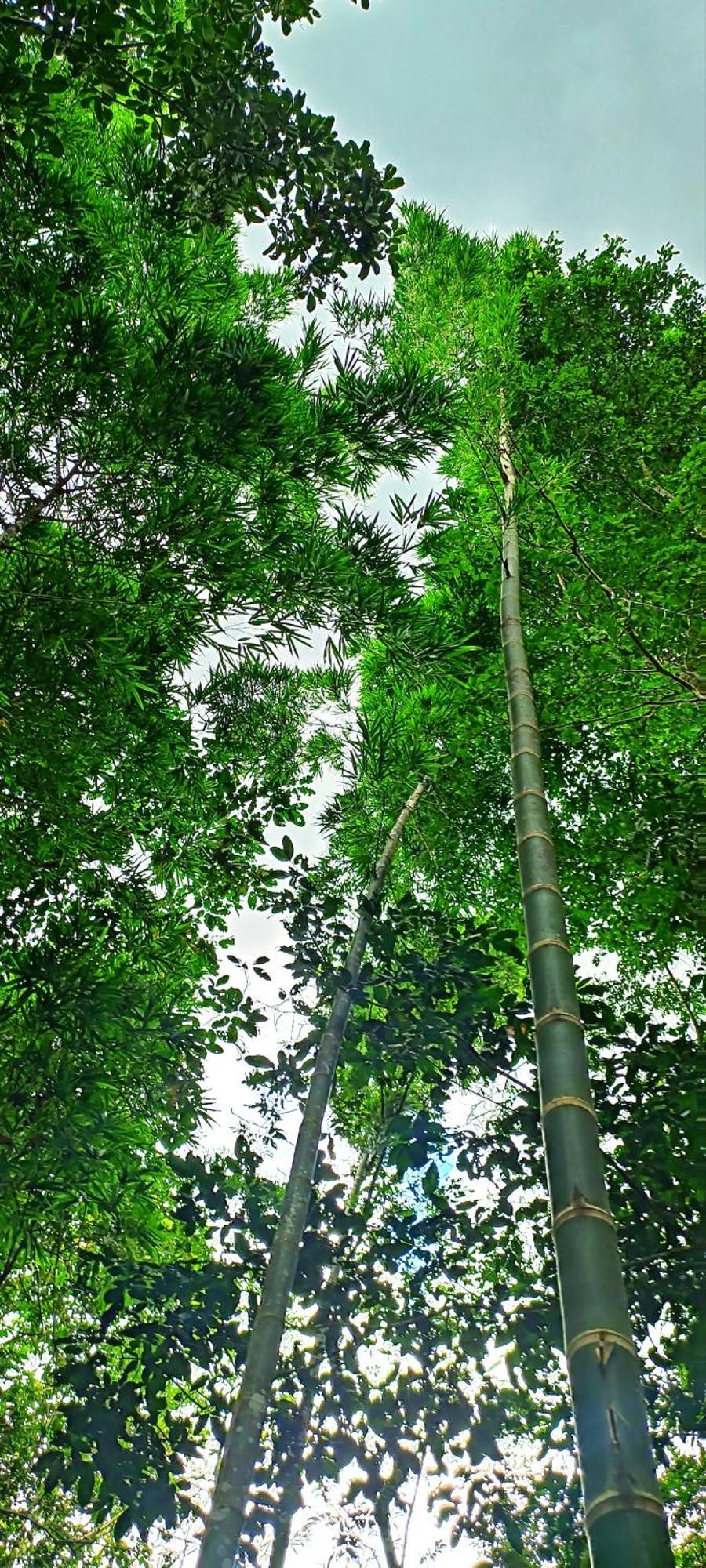 Hotel Ecologico Makalombia La Macarena 外观 照片