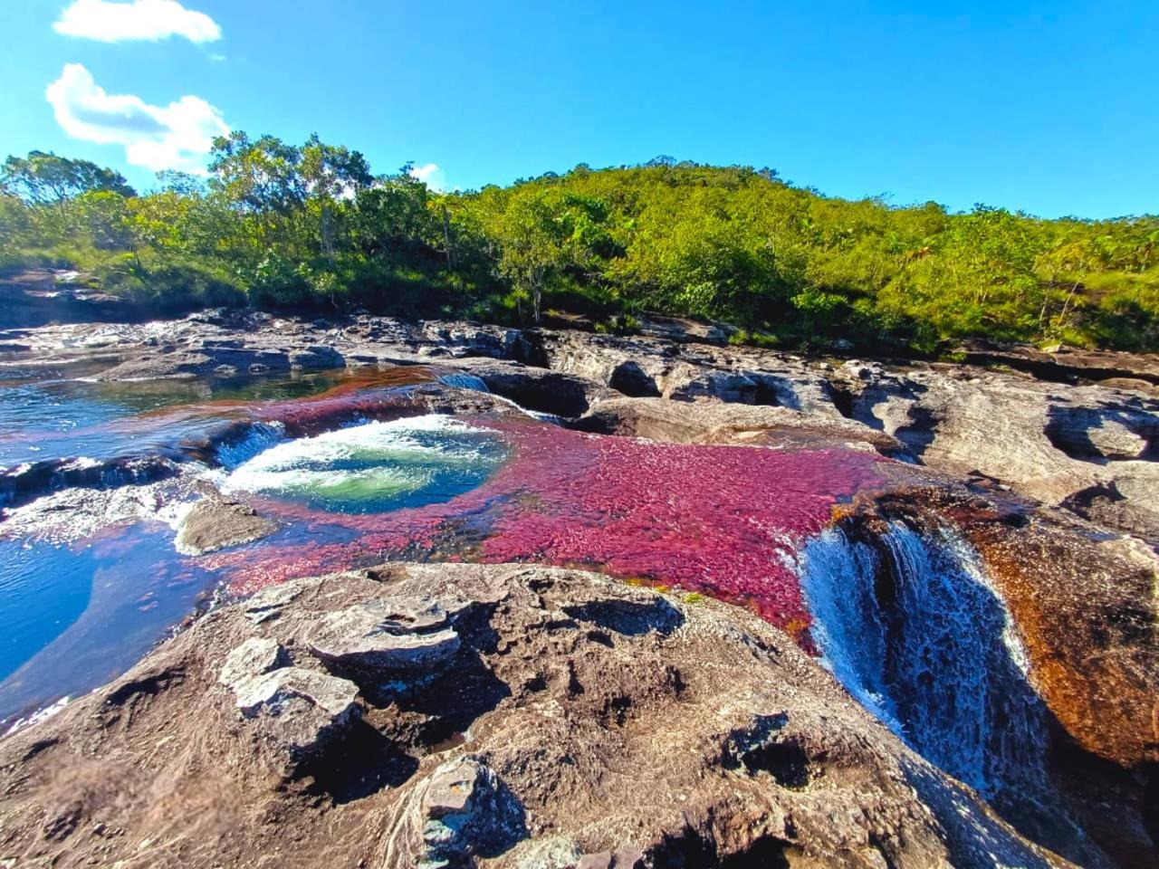 Hotel Ecologico Makalombia La Macarena 外观 照片