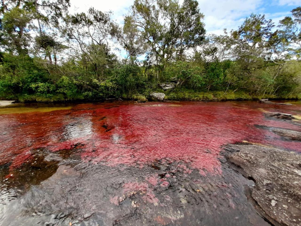 Hotel Ecologico Makalombia La Macarena 外观 照片