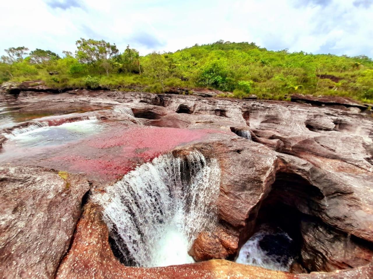 Hotel Ecologico Makalombia La Macarena 外观 照片
