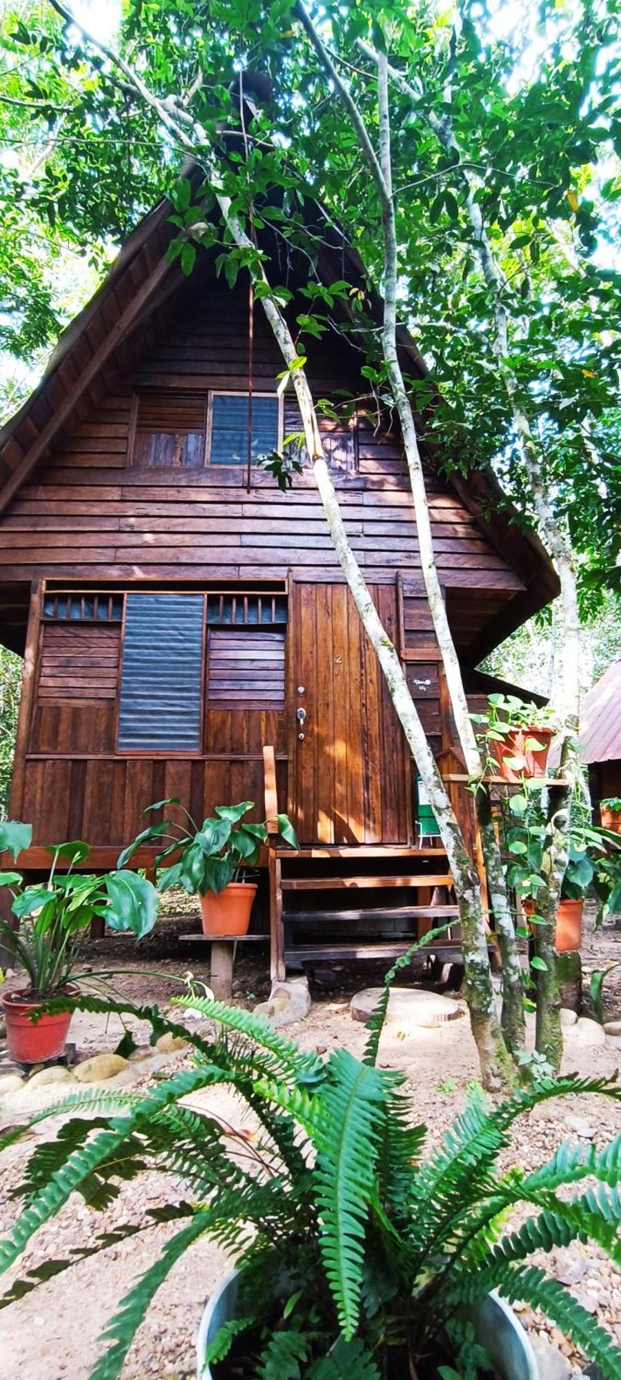 Hotel Ecologico Makalombia La Macarena 外观 照片